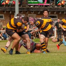 Image result for Ely Rugby Union Football Club