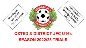 Image result for Oxted & District Junior Fc