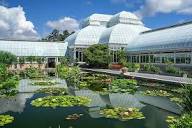 NYBG to open an 'Alice in Wonderland' -themed garden-wide ...