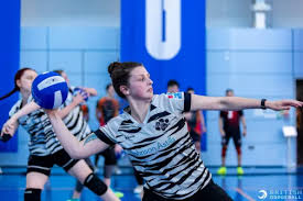 Image result for Berkshire Royals Dodgeball Club