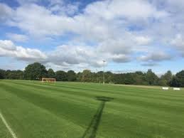 Image result for Lingfield Cricket Club