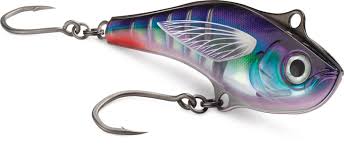 Image result for Sarda sarda