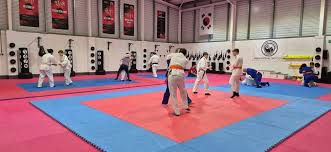 Image result for Universal Judo Academies