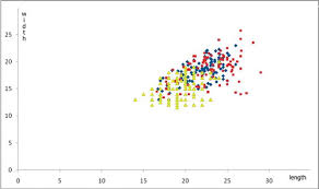 Attēlu rezultāti vaicājumam “Anthracoidea”