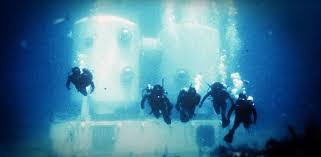 Image result for Stortford Divers