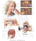 <b>Physical Examination</b> of the