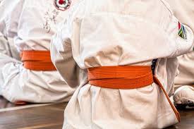 Image result for Imperial College Shorinji Kempo Society