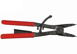 Image result for pheega