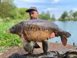 Image result for Weybridge Angling