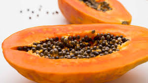 Image result for Carica papaya