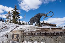 Image result for Go Mammoth