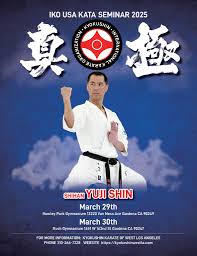 Image result for Kyokushin Karate