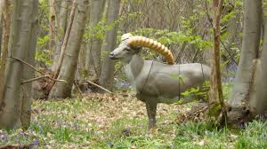 Image result for Oakfield Archers, Ilford, Essex