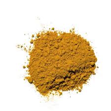 Attēlu rezultāti vaicājumam “Antrodia”