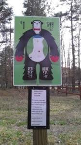 Image result for Bongos Disc Golf Club