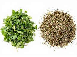 Image result for Oregano