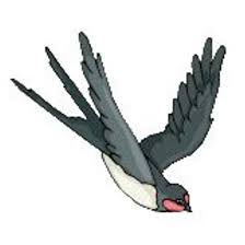 Image result for Swifts Junior (Hatfield) Badminton Club