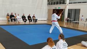 Image result for Silat Perisai Diri Classes Club