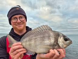 Image result for Ilfracombe Orcas Octopush Club