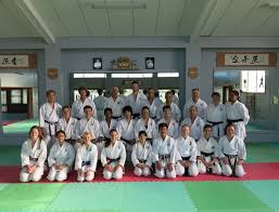 Image result for Karate Wado Kai