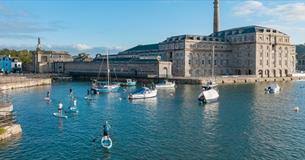 Image result for Plymouth Aquanauts