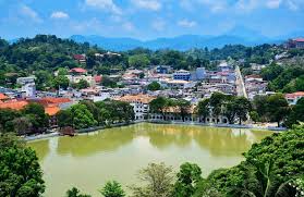 Image result for Канди