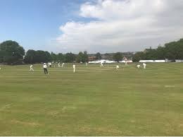 Image result for Darwen Cricket Club