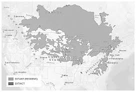 Image result for Moxostoma hubbsi