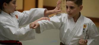 Image result for Ryusui-ryu Martial Arts School East Grinstead