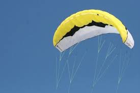 Image result for Baiter Power Kite