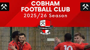 Image result for Cobham Sports Association Ltd