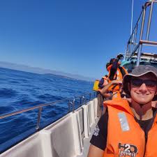 Image result for Chrysoblephus cristiceps