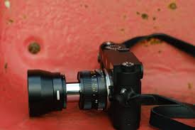 Attēlu rezultāti vaicājumam “Licea minima macro”