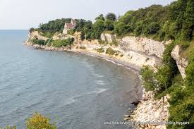Image result for stevns klint