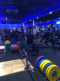 Image result for Gym in Watford