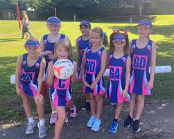 Image result for Blue Jays Netball Club