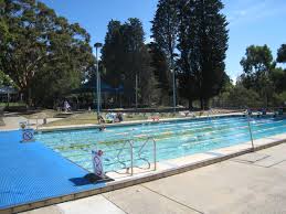 Image result for Box Hill Swim Team