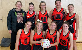 Image result for Brigg & District Netball Club