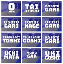 Image result for Arun Southcoast Judo Club.