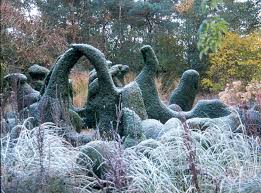 Image result for Priona Tuinen