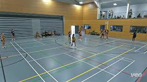 Image result for Cheshunt Youth Netball Club