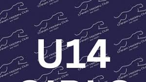 Image result for Cheam Hockey Club