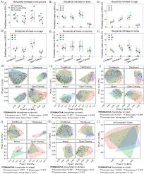 Attēlu rezultāti vaicājumam “Breidleria pratensis”