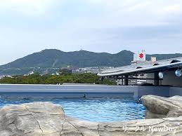 「海神往紗馳」の画像検索結果