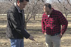 Image result for Jleqdmoz