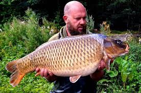 Image result for Walton On Thames Angling