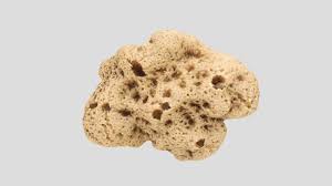 Attēlu rezultāti vaicājumam “Spongia”