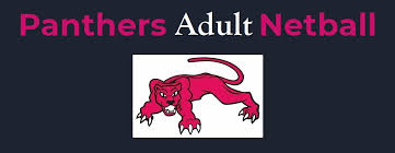 Image result for Medway Panthers Netball Club