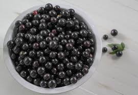 Attēlu rezultāti vaicājumam “Jovibarba globifera fruit”