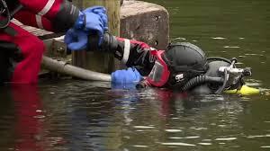 Image result for Stortford Divers
